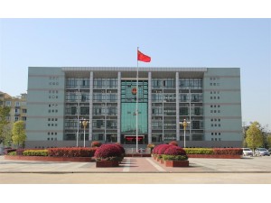 桐城市人民政府办公楼（原文昌街道办事处行政大楼）-2011年度“振风杯”工程